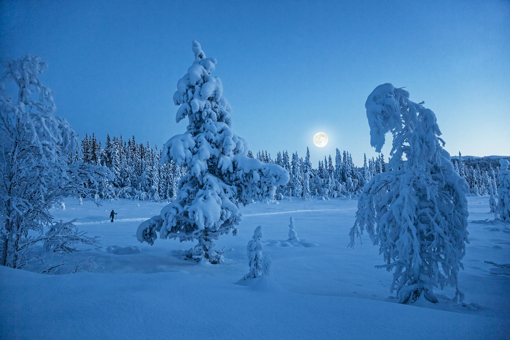 Cross-country-skiing-in-the-moonlight_2