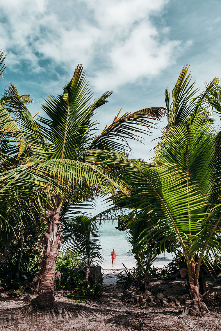 EXUMA-PALM-WITH-RED-SWIMSUIT
