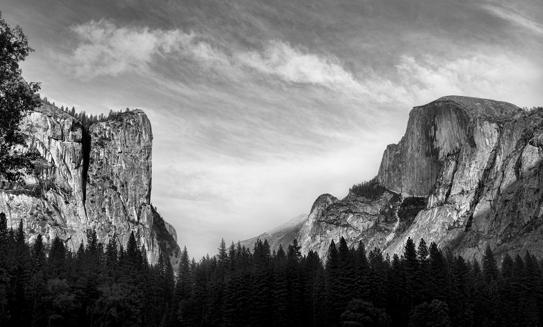 HALF-DOME-PORTRAIT_1_flat_darker