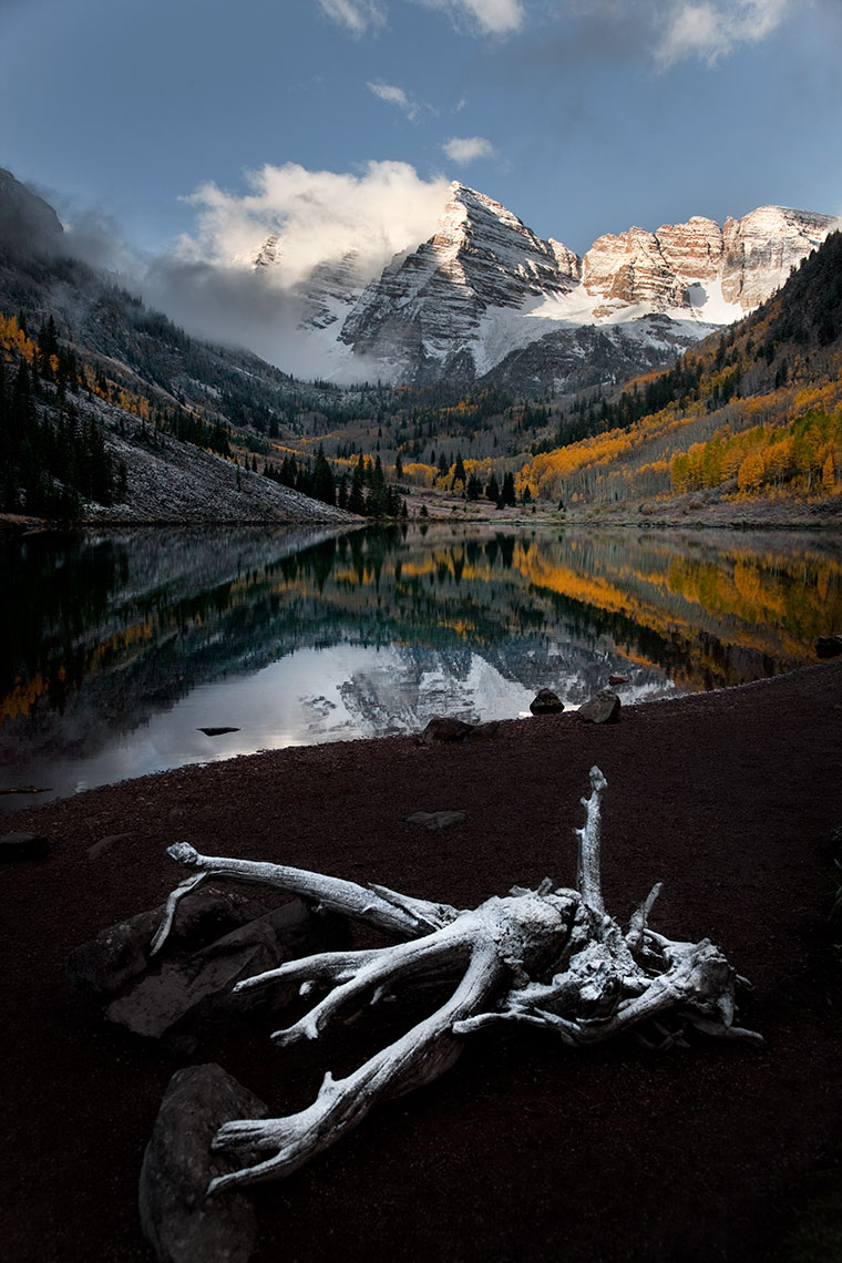 MAROON-BELLS-WITH-SNOWY-ROOT