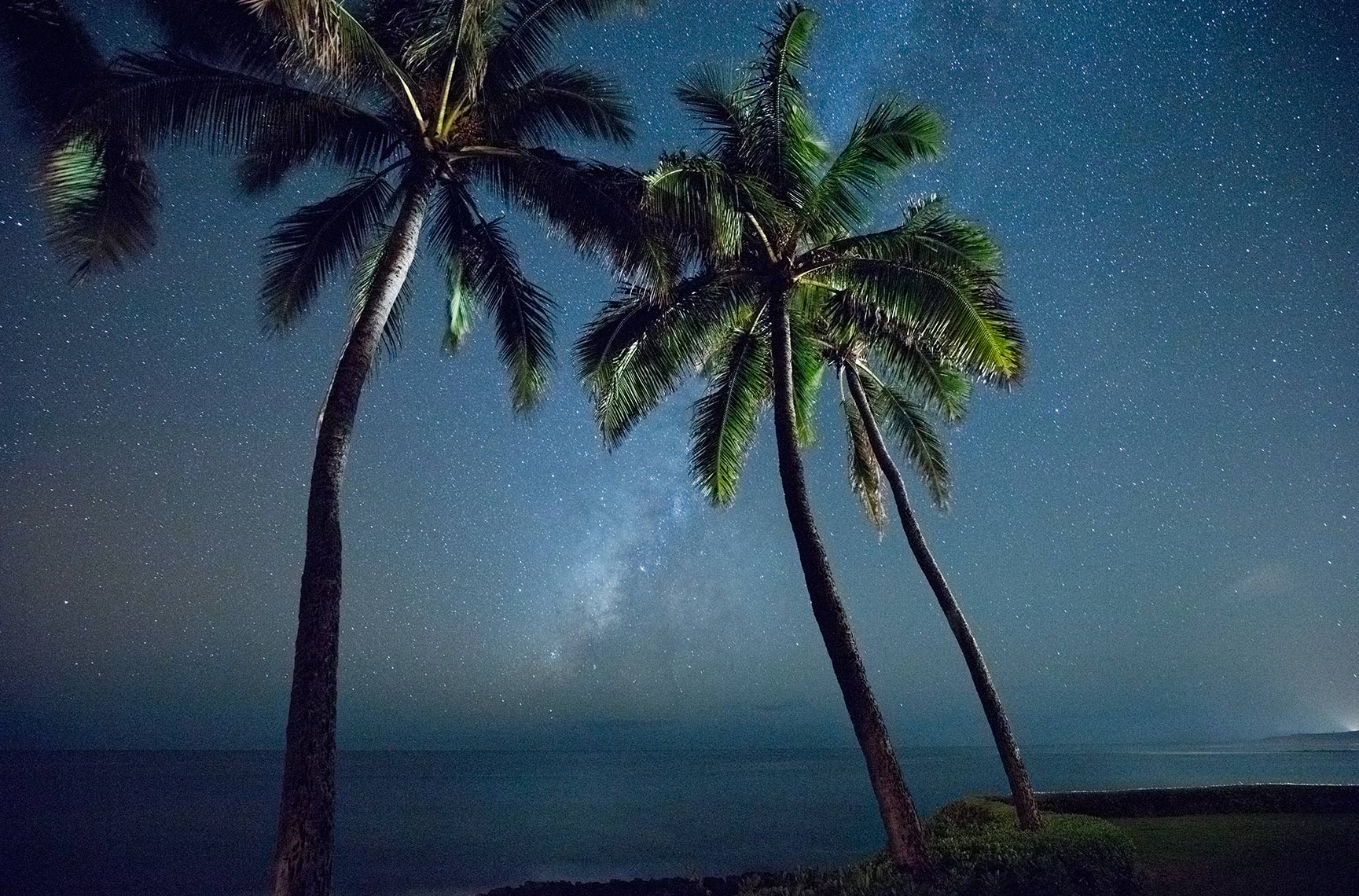 MILKYWAY-PALMS_2