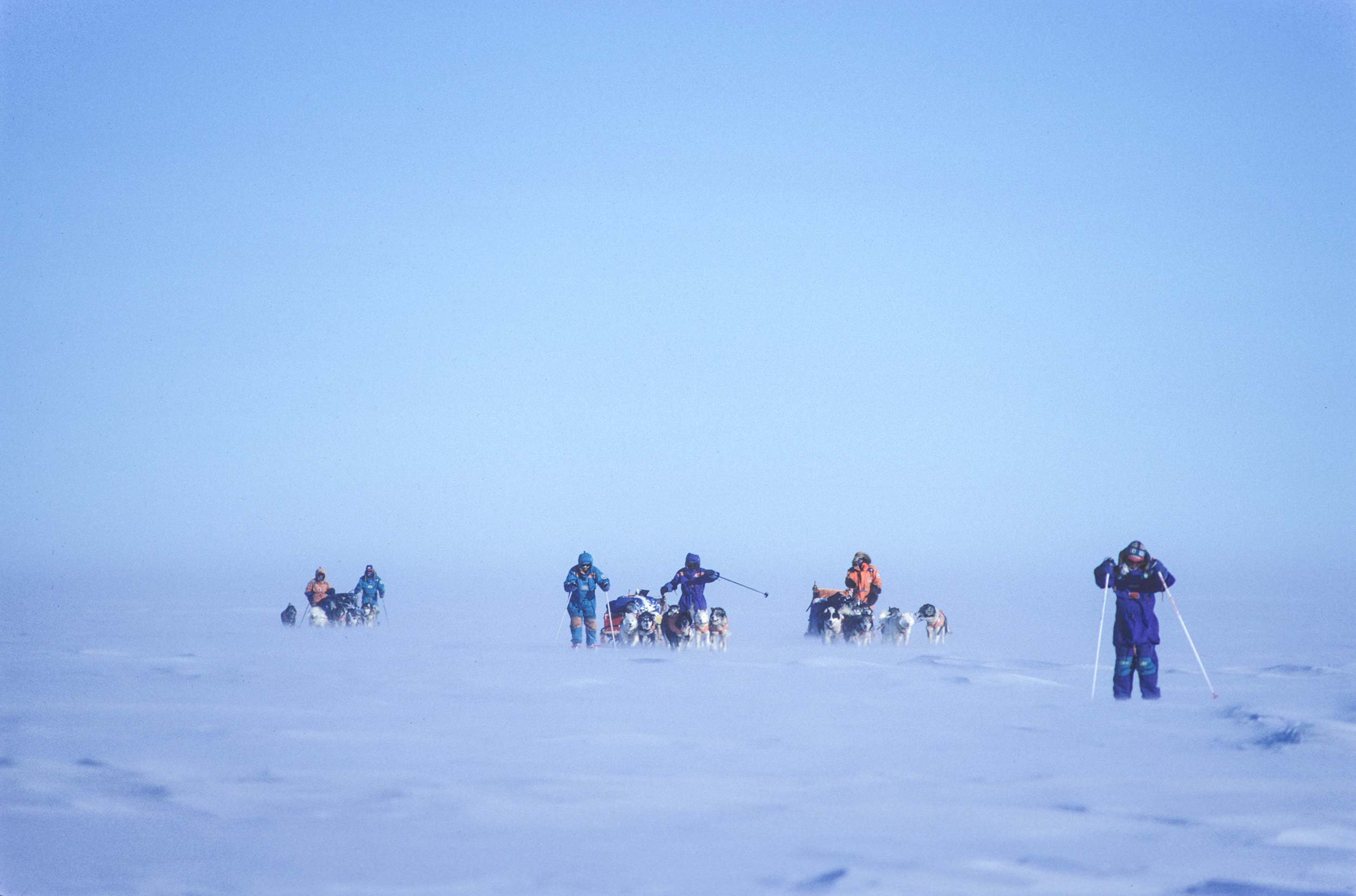 Trans-Antarctica-Expedition-dogsledding-through-the-white-room