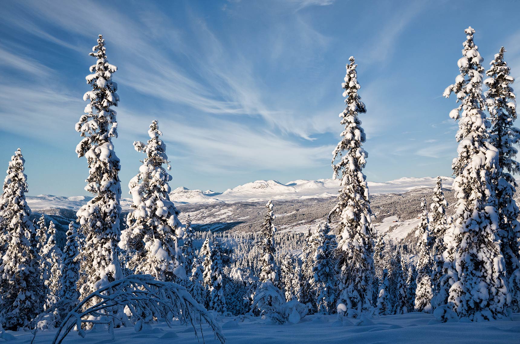 WINTER-WONDERLAND_AAL_HALLINGDAL_NORWAY