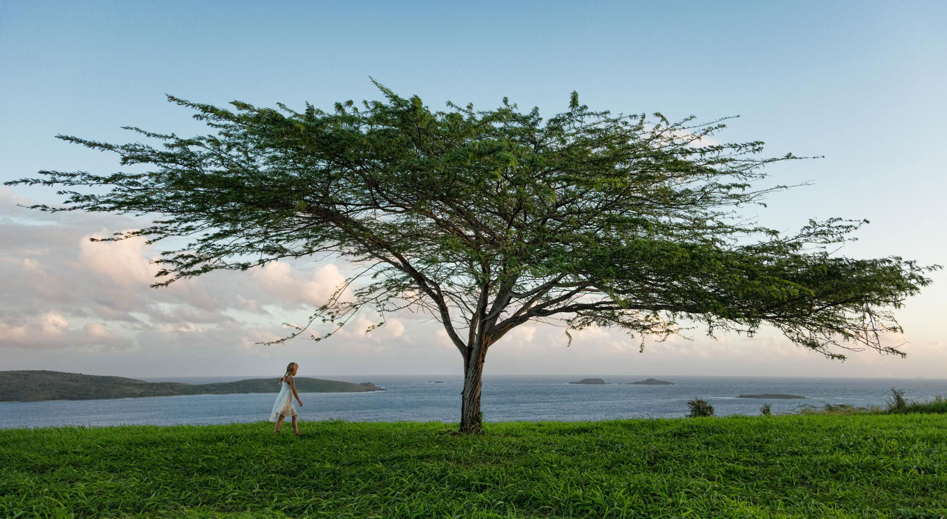 a-girl-and-a-lone-tree-above-the-ocean