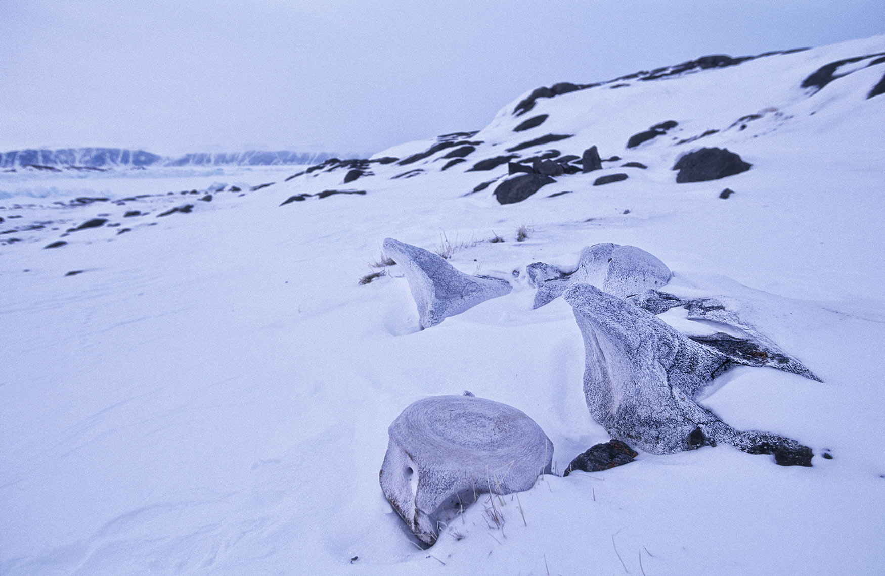 ellesmere_inuit-camp