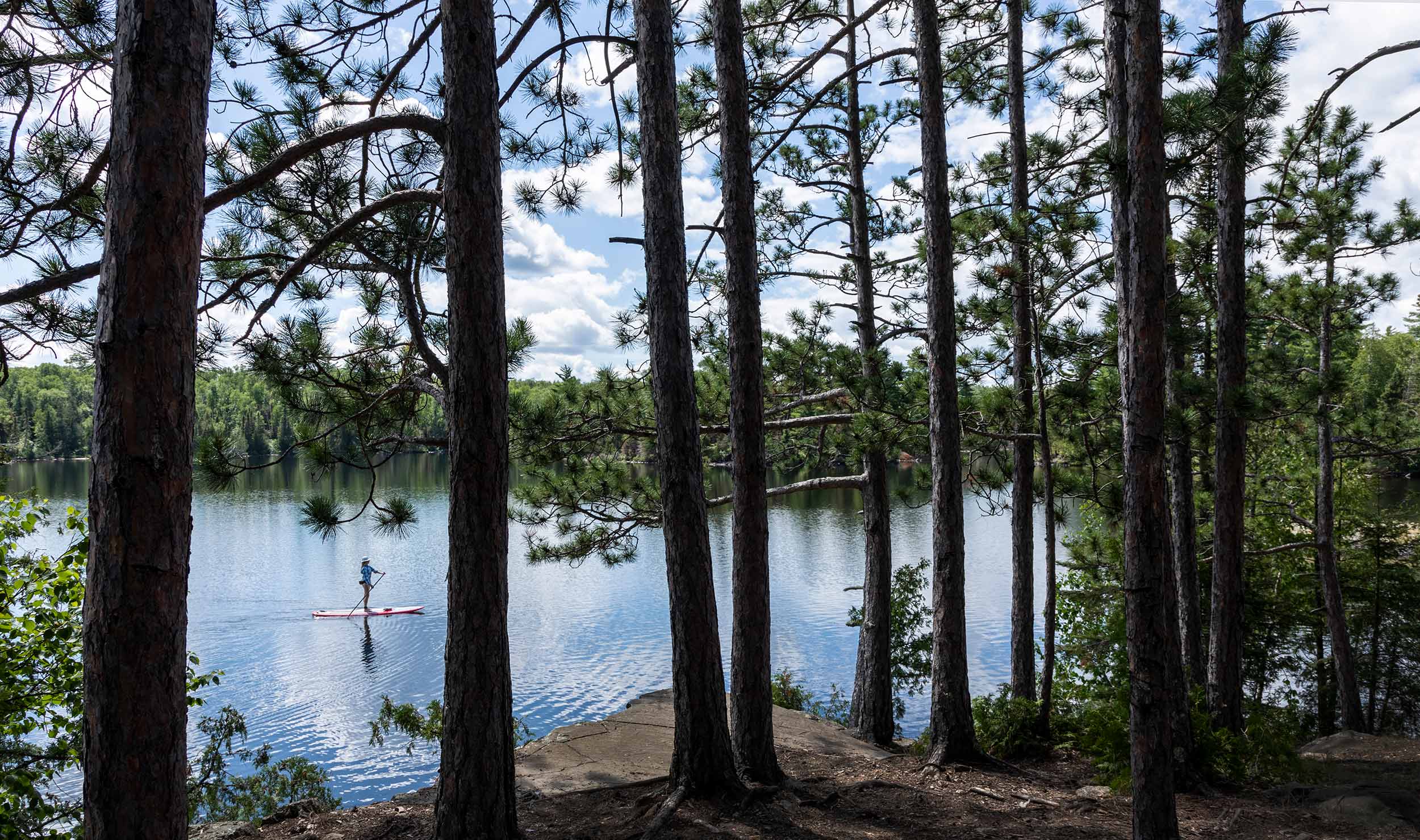 tree-paddling-BWCA