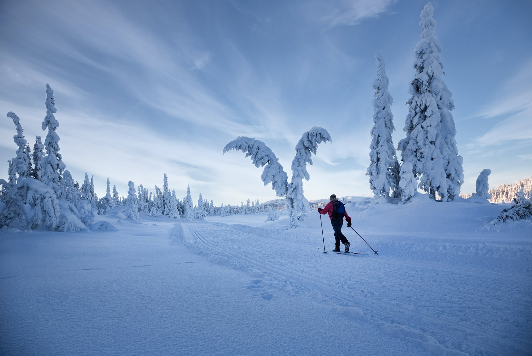 xc-skier-in-perfect-snow_norway
